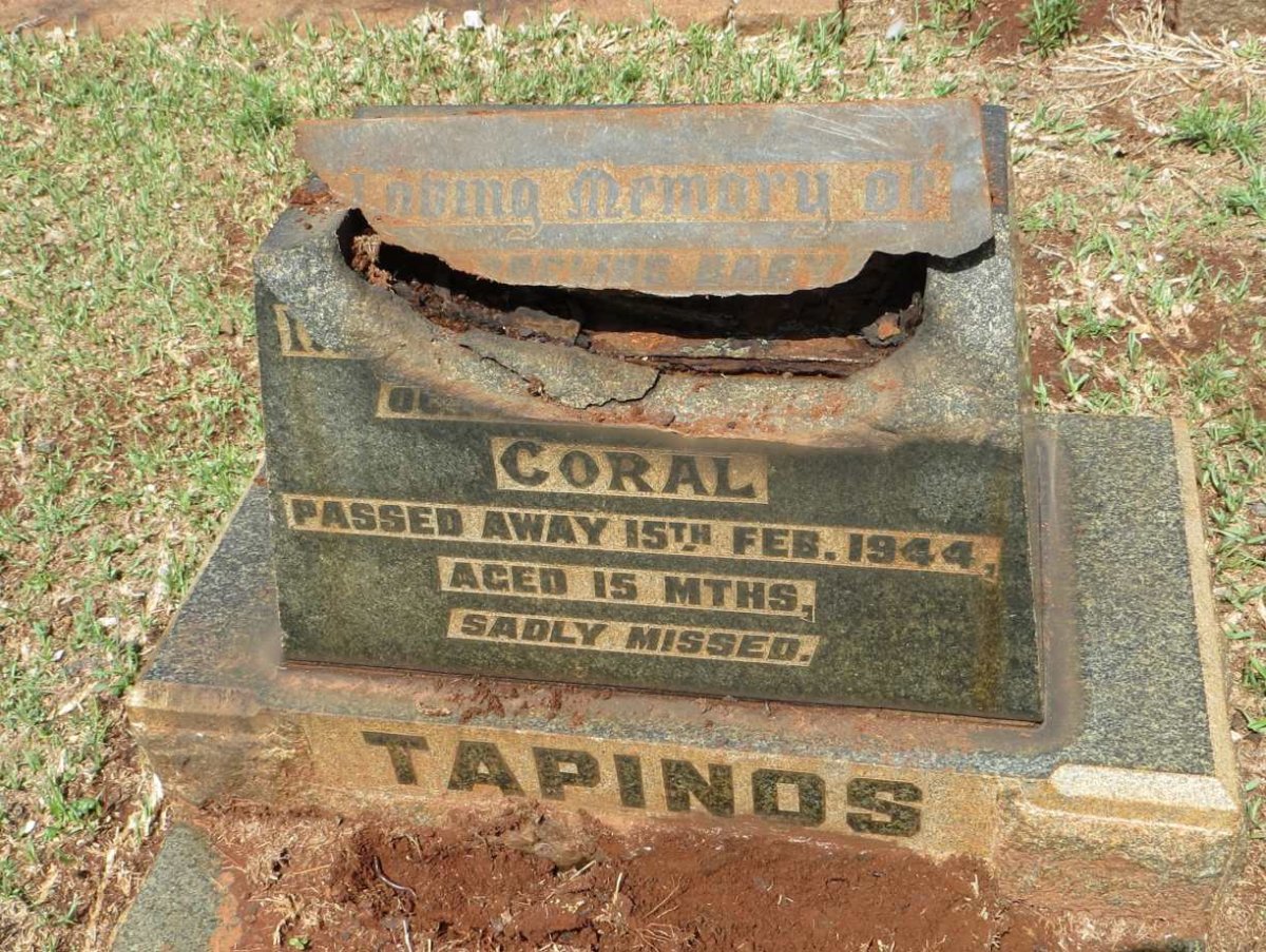 TAPINOS Coral -1944