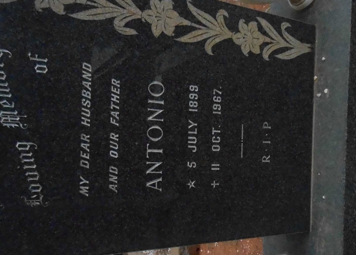 TEIXEIRA Antonio 1899-1967