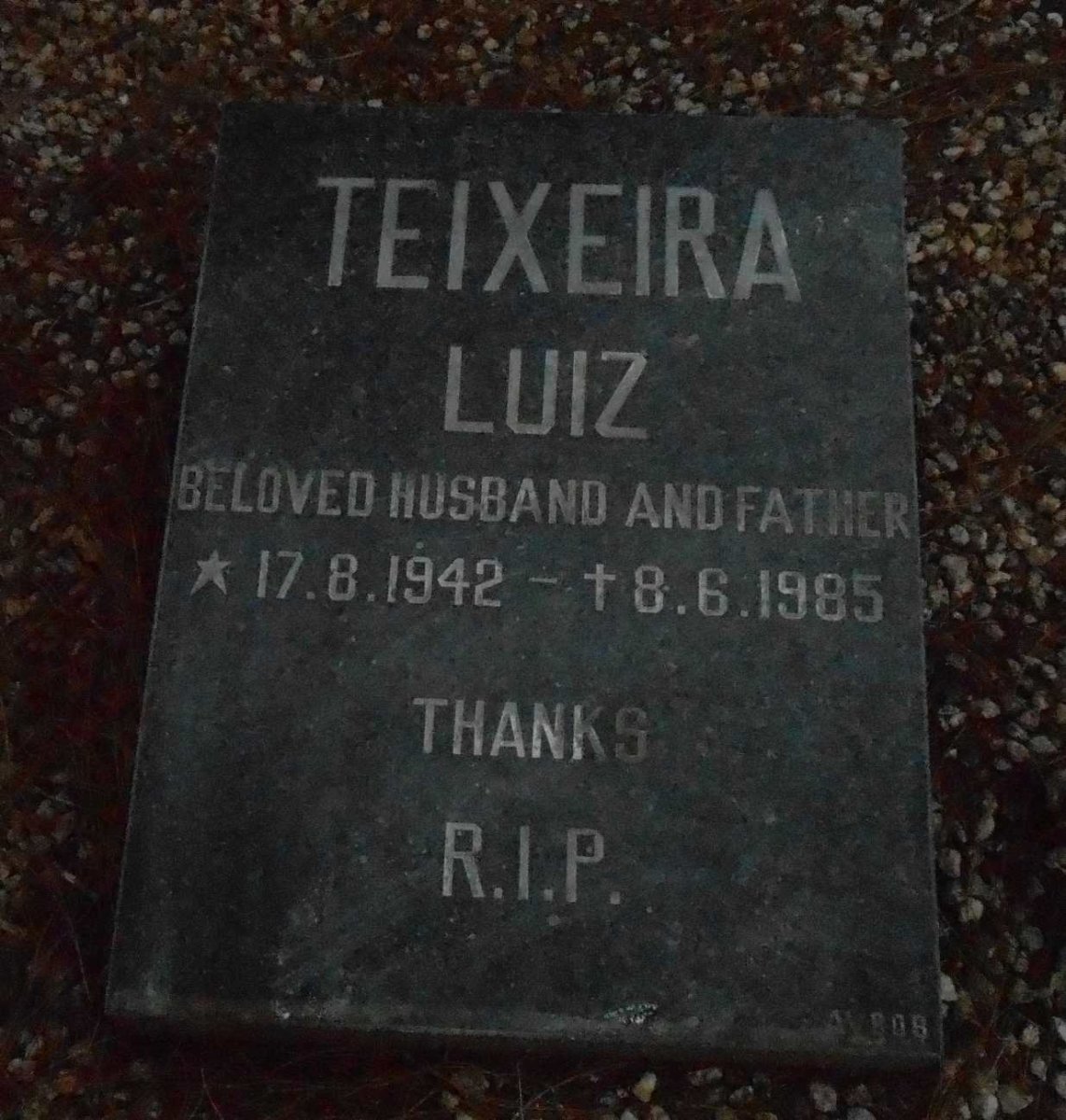 TEIXEIRA Luiz 1942-1985