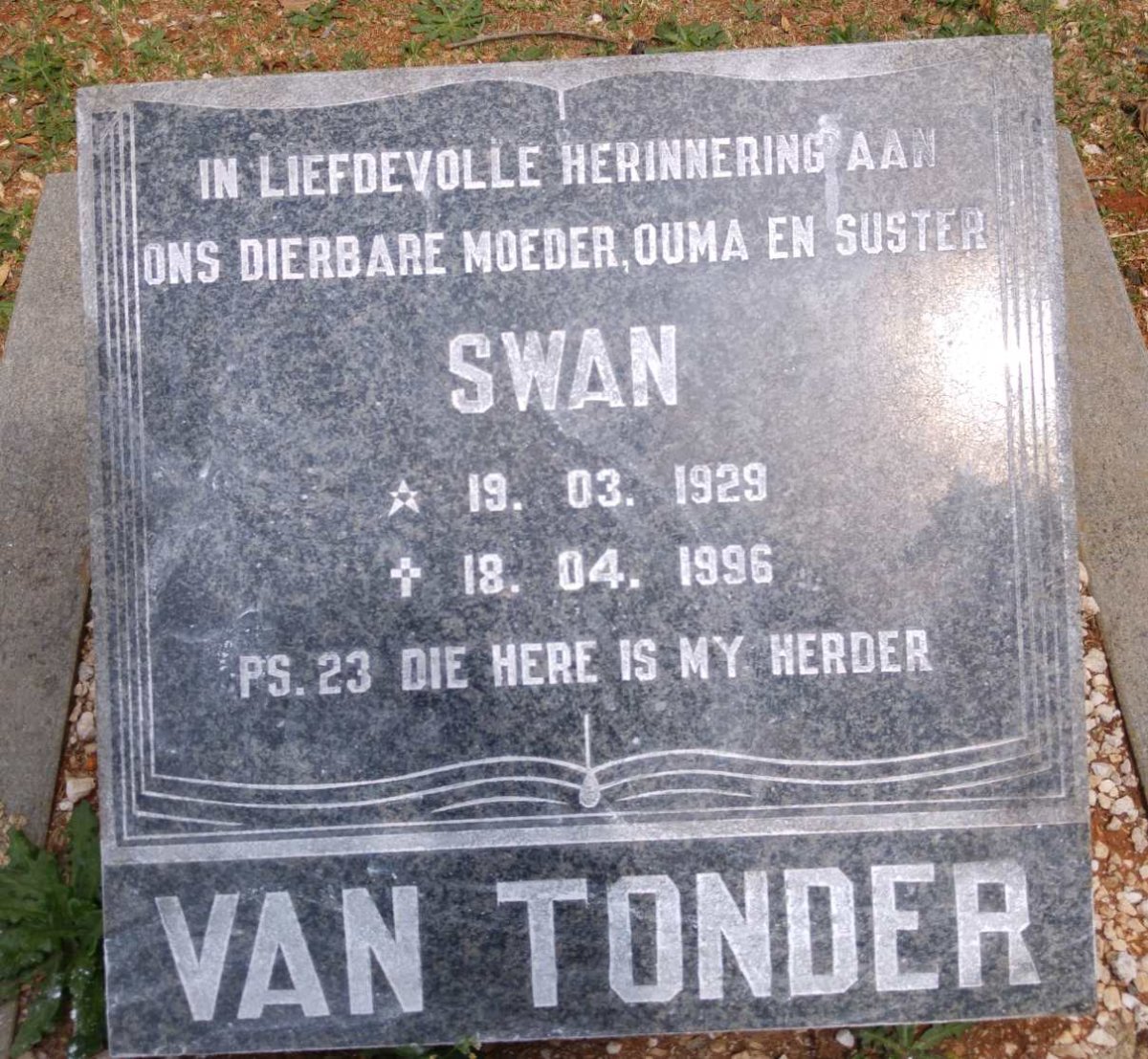 TONDER Swan, van 1929-1996