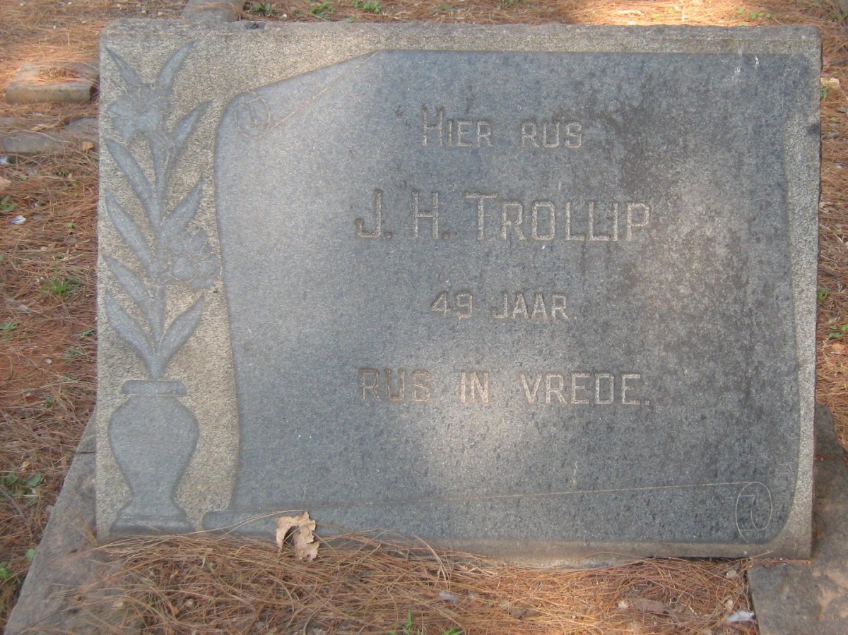 TROLLIP J.H.
