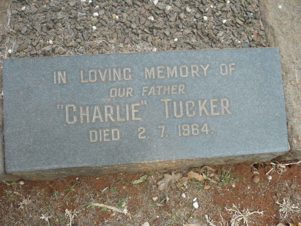 TUCKER Charlie -1964