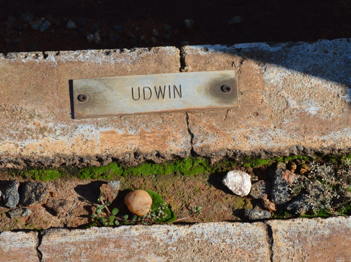 UDWIN