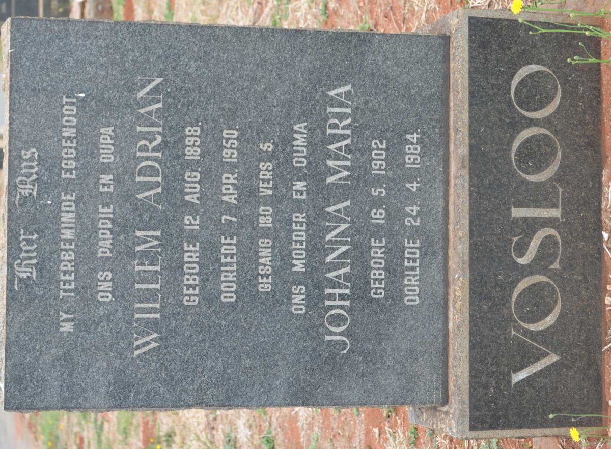 VOSLOO Willem Adrian 1898-1950 &amp; Johanna Maria 1902-1984