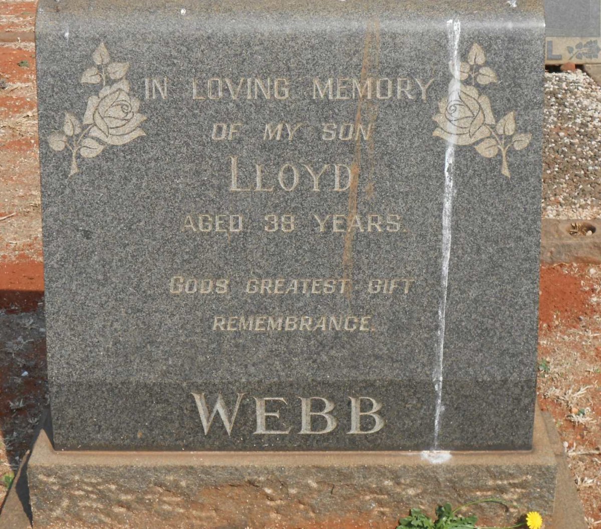 WEBB Lloyd