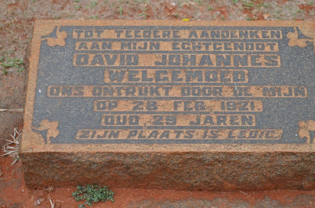 WELGEMOED David Johannes -1921