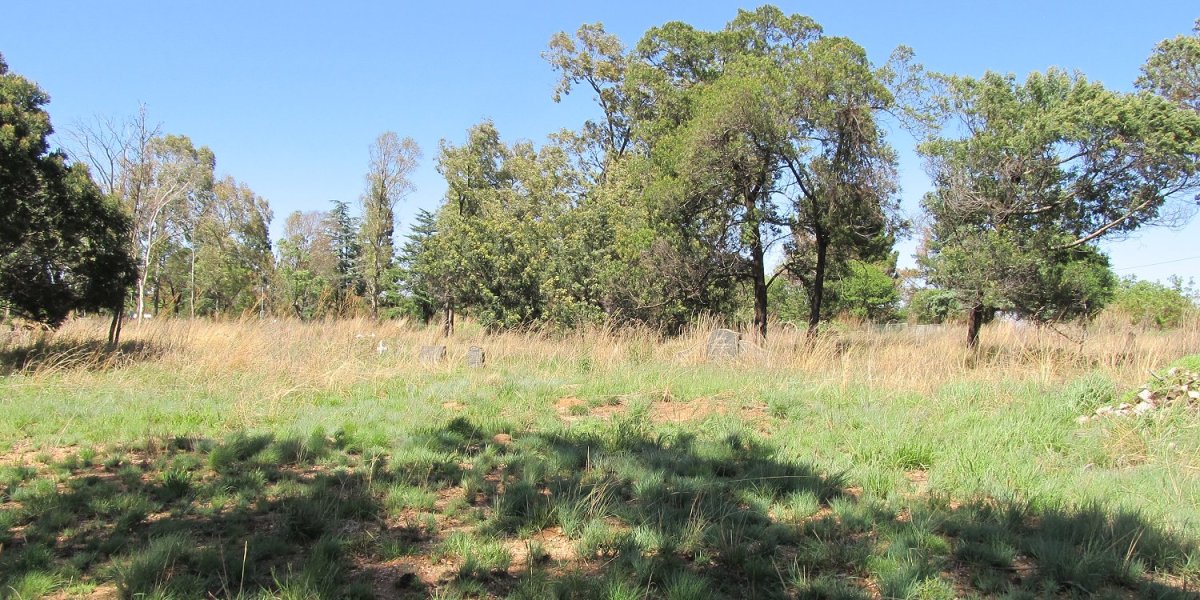 3. Overview