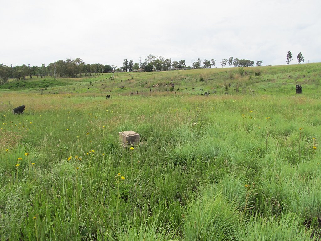 1. Overview