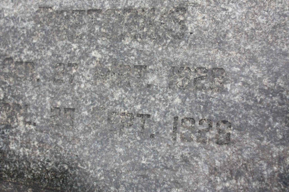 PRETORIUS ? Albertus 1928-1928