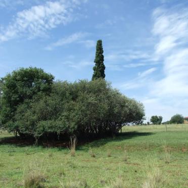 Gauteng, HEIDELBERG district, Vaaldam, Rietfontein 461, farm cemetery_5