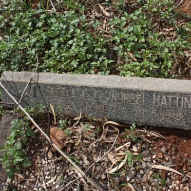 HATTINGH Engela E.C. 1896-1948