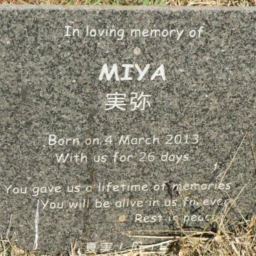 ? Miya 2013-2013