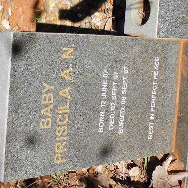 ? Priscila A.N. 2007-2007