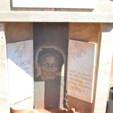 ? Alice 1966-2011