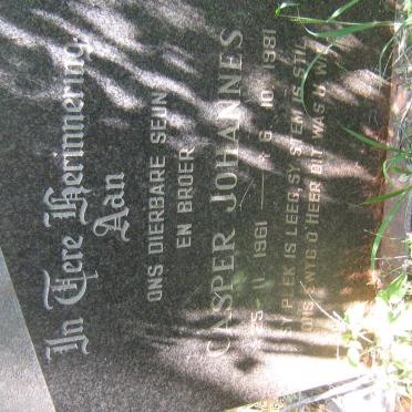 ? Casper Johannes 1961-1981