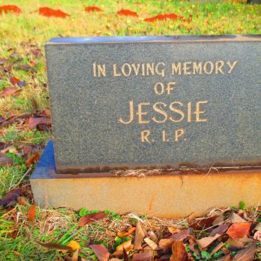 ? Jessie 