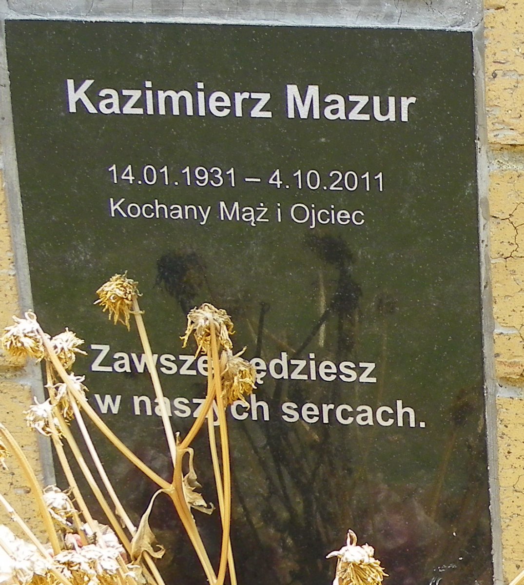 MAZUR Kazimierz 1931-2011