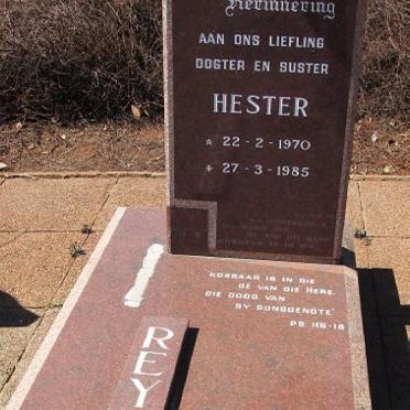 REYNDERS Hester 1970-1985