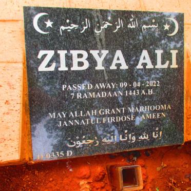 ALI Zibya -2022