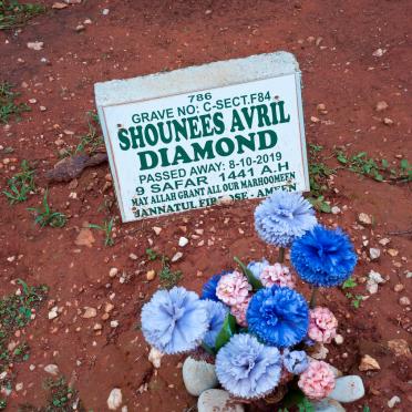 DIAMOND Shounees Avril -2019