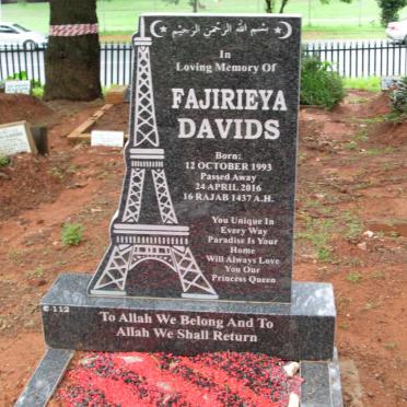 DAVIDS Fajirieya 1993-2016