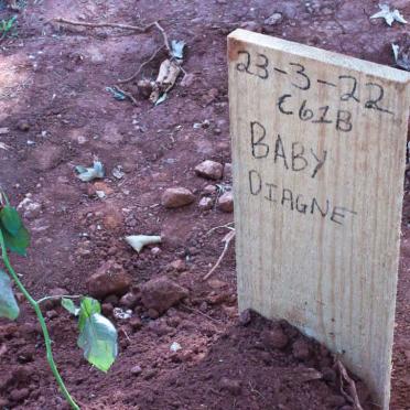 DIAGNE Baby -2022