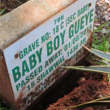 GUEYE Baby -2015