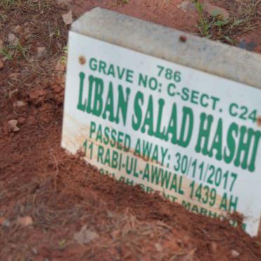 HASHI Liban Salad -2017