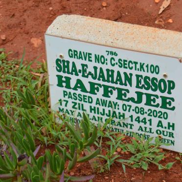 HAFFEJEE Sha-E-Jahan Essop -2020
