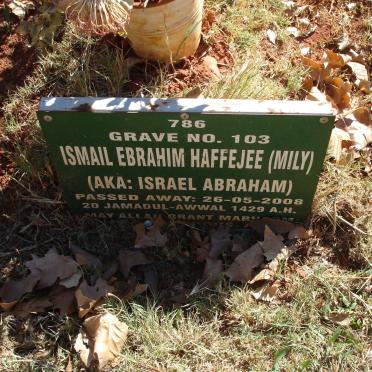 HAFFEJEE Ismail Ebrahim -2008