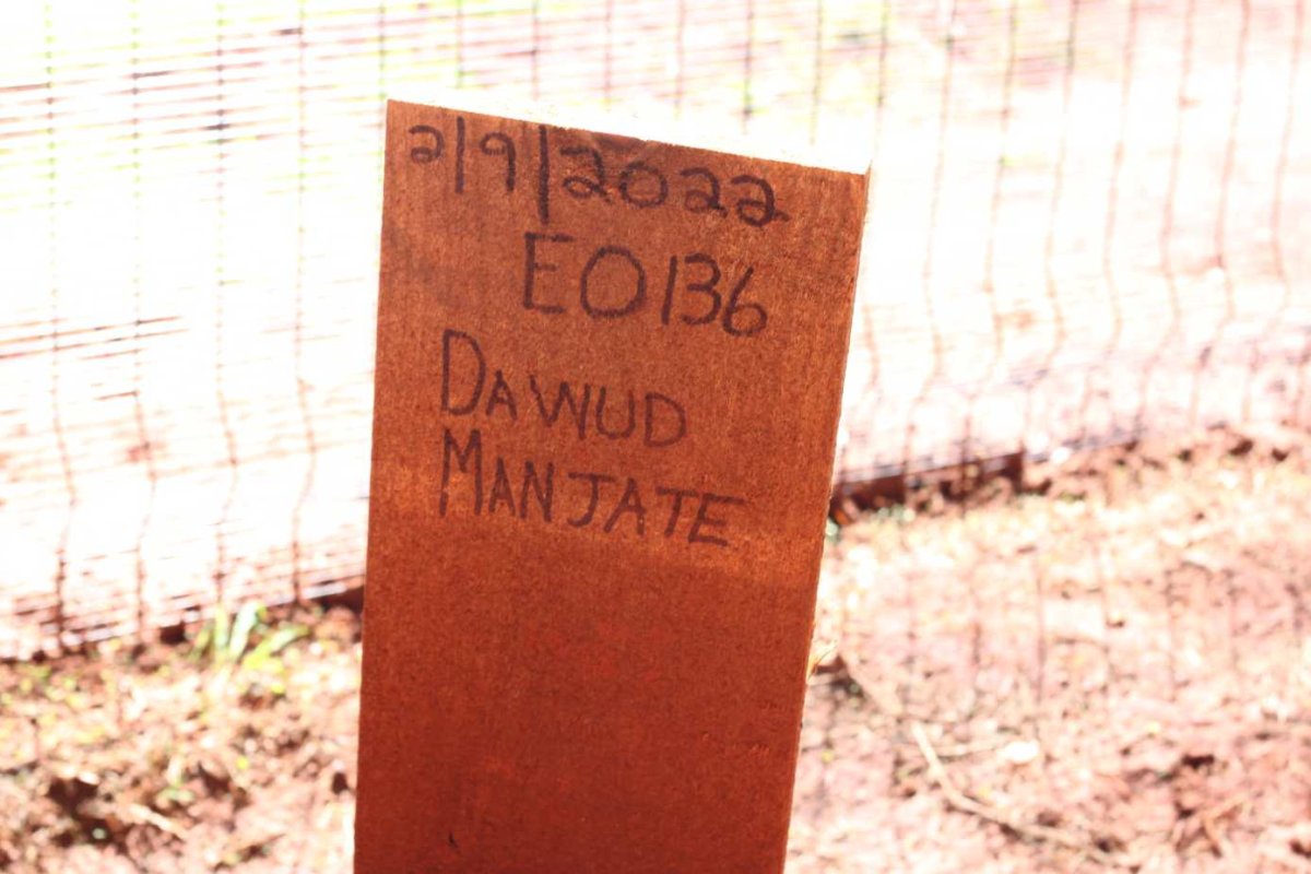 MANJATE Dawud -2022
