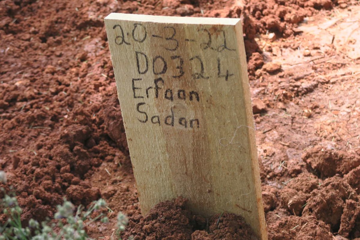 SADAN Erfaan -2022