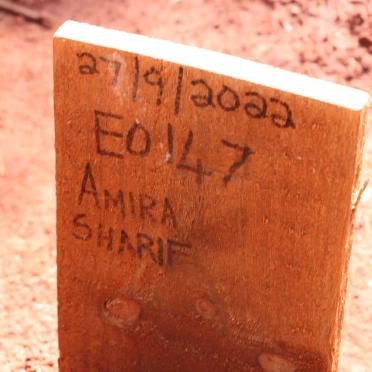 SHARIF Amira -2022