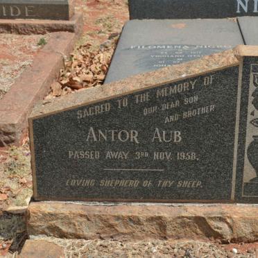 AUB Antor -1958