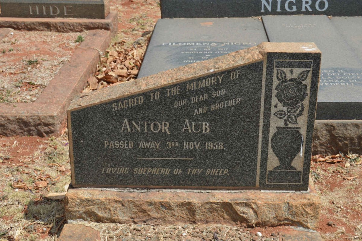 AUB Antor -1958