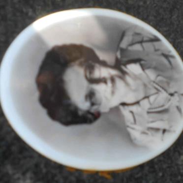 BELLETTI Aurelio 1916-1970 &amp; Teresa Laura 1921-2007