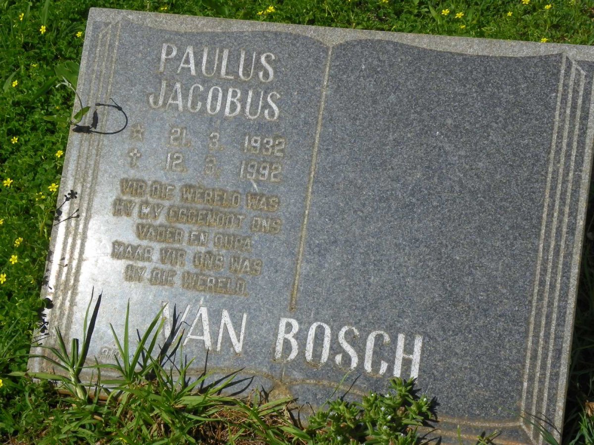 BOSCH Paulus Jacobus, van 1932-1992