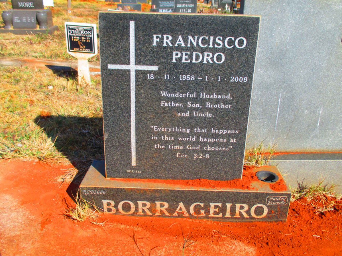 BORRAGEIRO Francisco Pedro 1958-2009