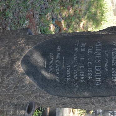 BOTHA Andries 1924-1955