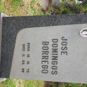 BORREGO Jose Domingos 1975-1989