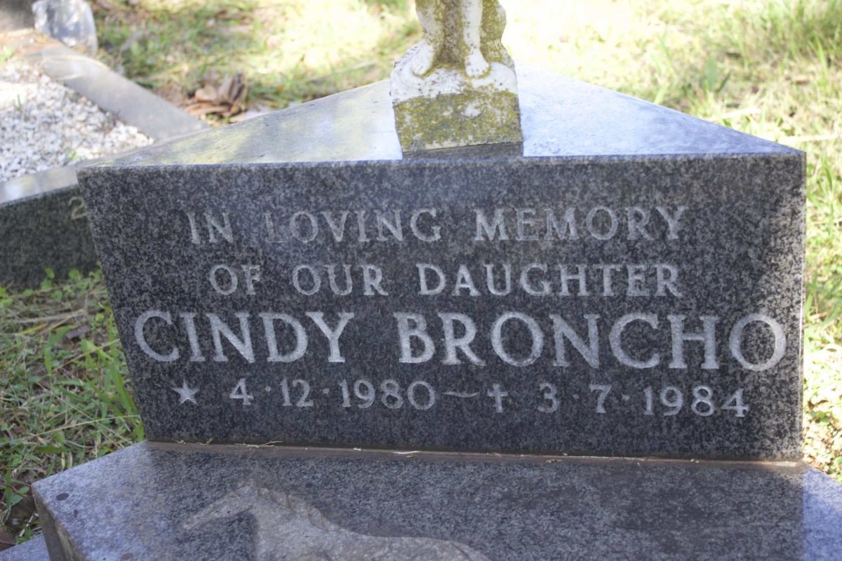 BRONCHO Cindy 1980-1984