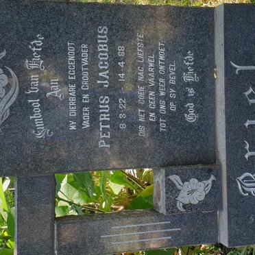 BRIEL Petrus Jacobus 1922-1968