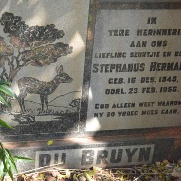 BRUYN Stephanus Hermanus, du 1945-1955