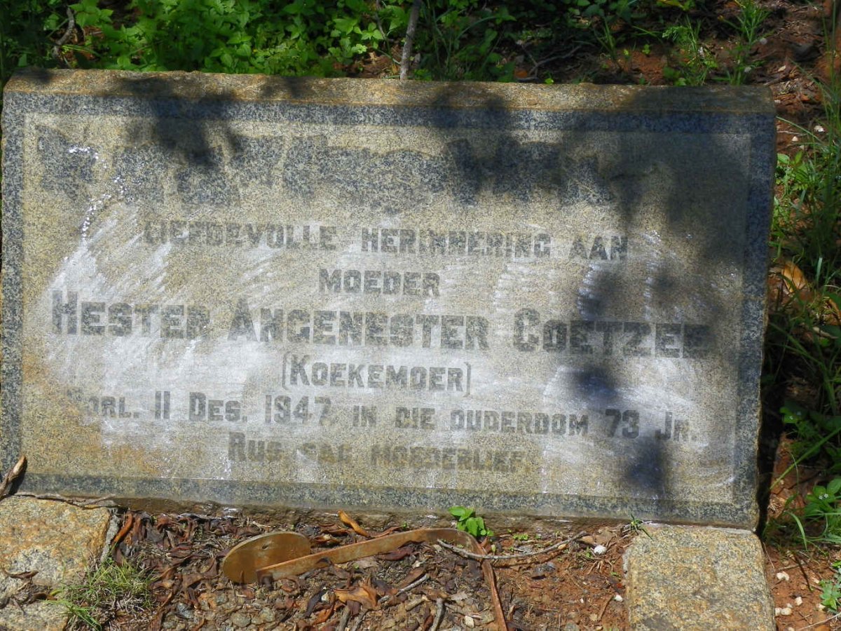 COETZEE Hester Angenester nee KOEKEMOER -1947