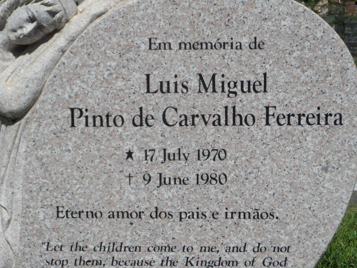 FERREIRA Luis Miguel Pinto de Carvalho 1970-1980