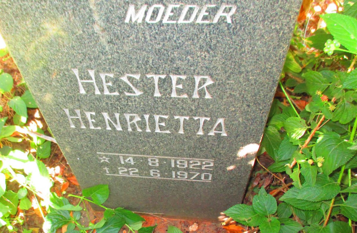 FOUCHÉ Johannes Hendrik 1918-1965 &amp; Hester Henrietta 1922-1970