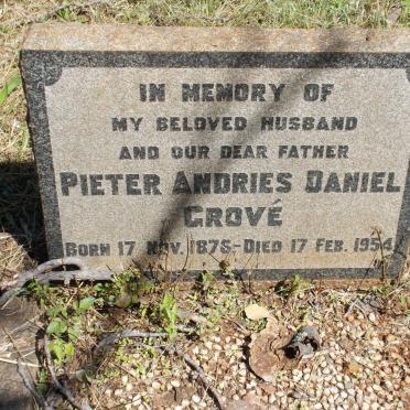 GROVE Pieter Andries Daniel 1876-1954