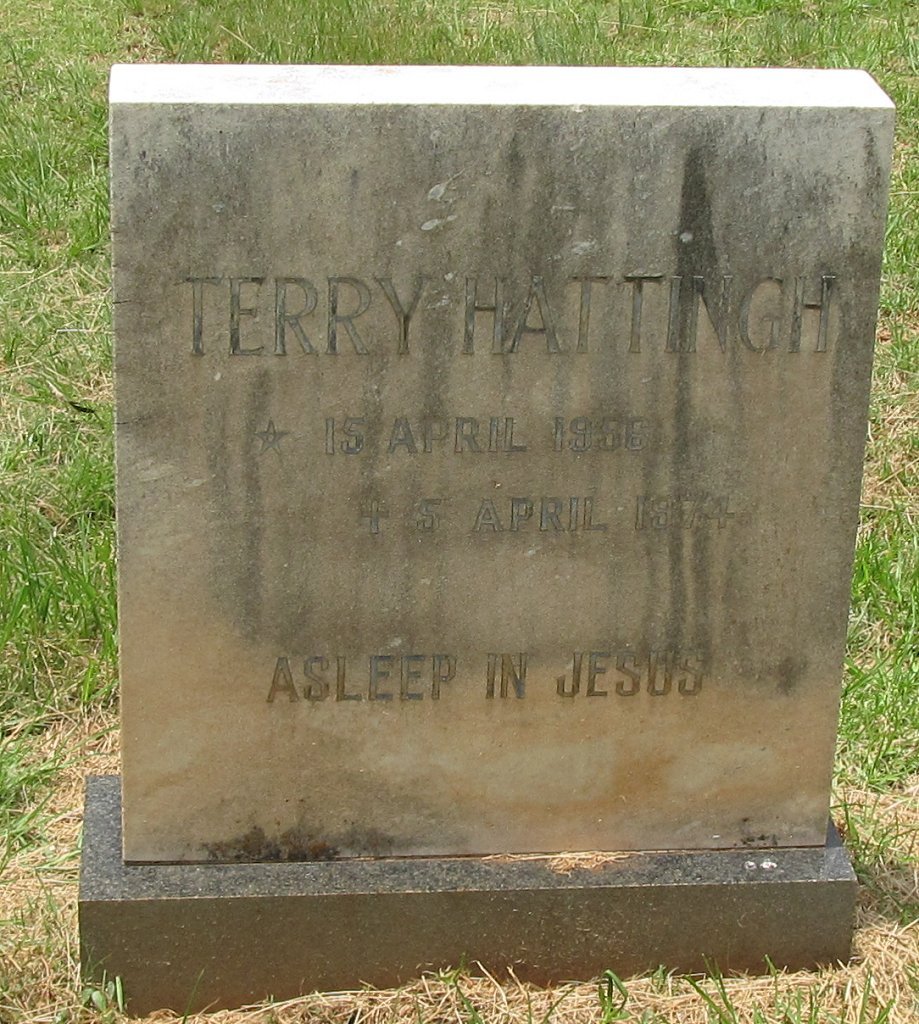 HATTINGH Terry 1956-1974