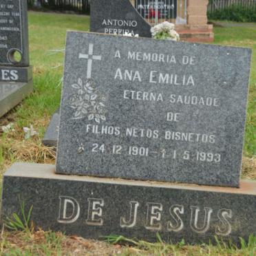 JESUS Ana Emilia, de 1901-1993