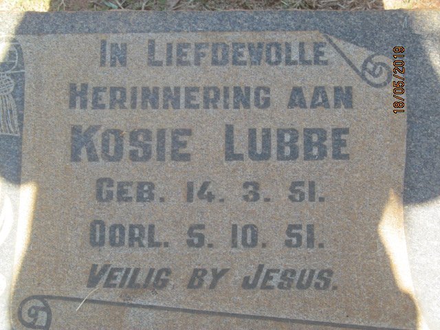 LUBBE Kosie 1951-1951